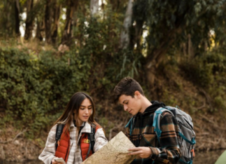 Endless Roads: Exploring Cultures, One Country at a Time