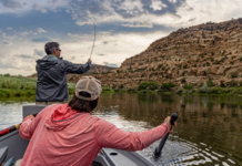How a San Juan River Fly Fishing Guide Can Enhance Your Fishing Experience