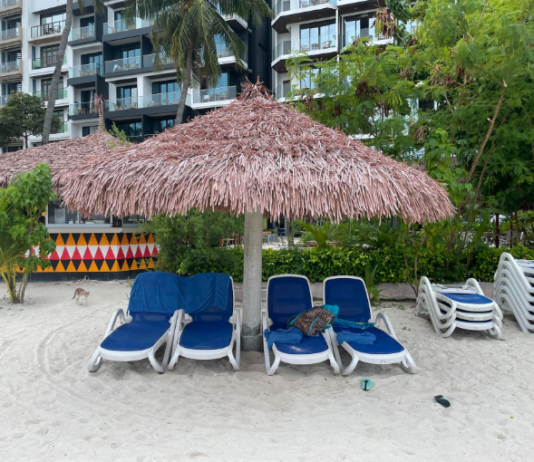 How to Choose the Right Beach Access Hotels