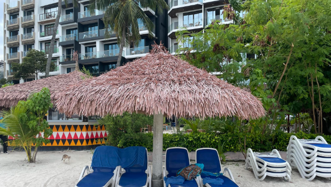 How to Choose the Right Beach Access Hotels